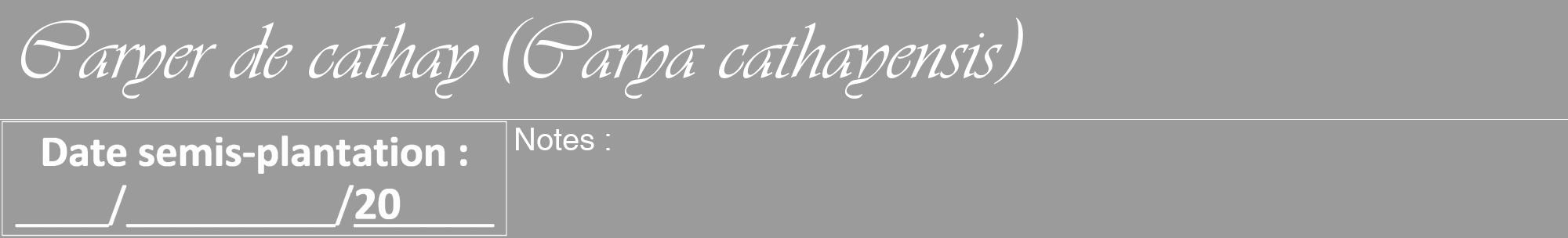 Étiquette de : Carya cathayensis - format a - style blanche52viv avec comestibilité