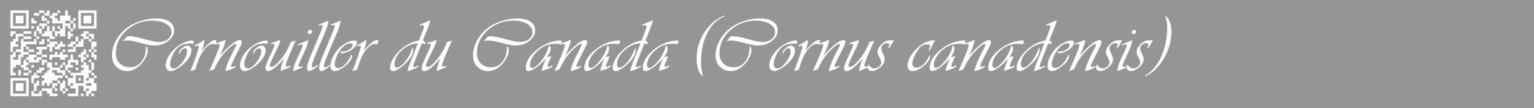 Étiquette de : Cornus canadensis - format a - style blanche16viv avec qrcode et comestibilité