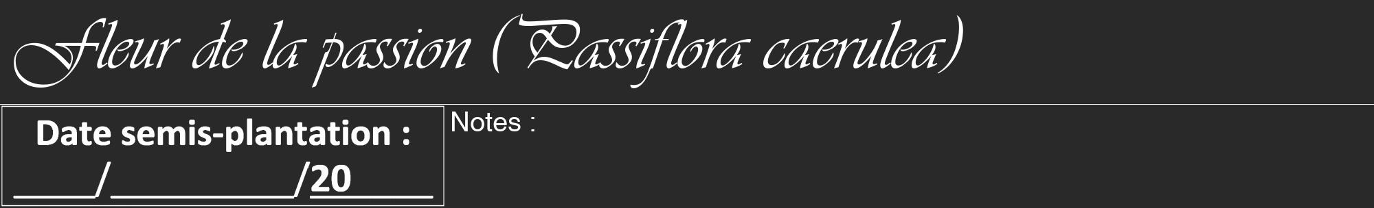 Étiquette de : Passiflora caerulea - format a - style blanche34viv avec comestibilité