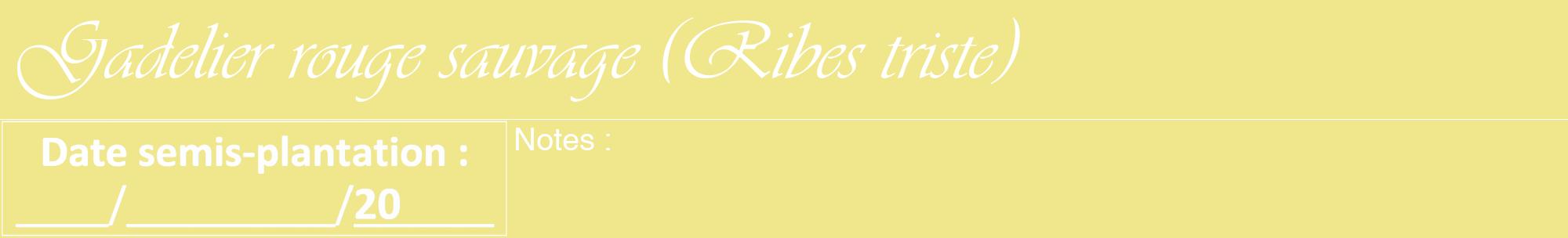Étiquette de : Ribes triste - format a - style blanche20viv avec comestibilité