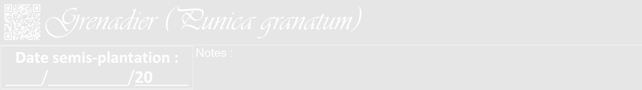 Étiquette de : Punica granatum - format a - style blanche18viv avec qrcode et comestibilité