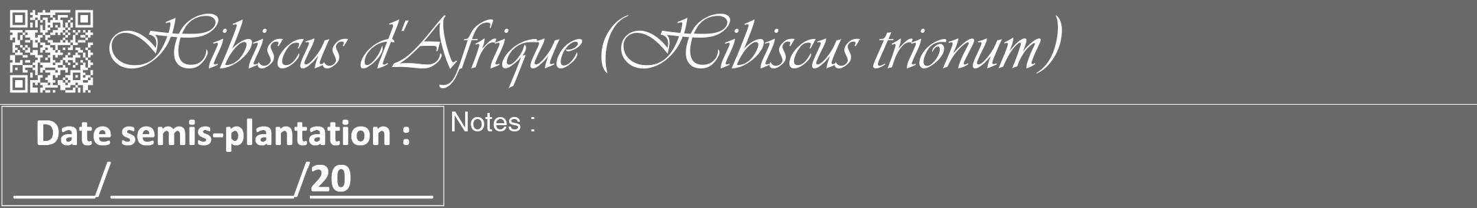 Étiquette de : Hibiscus trionum - format a - style blanche51viv avec qrcode et comestibilité