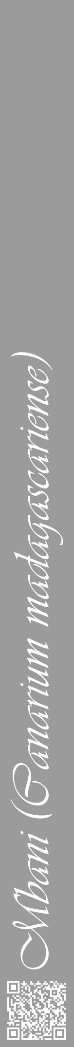 Étiquette de : Canarium madagascariense - format a - style blanche52viv avec qrcode et comestibilité - position verticale