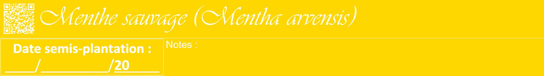Étiquette de : Mentha arvensis - format a - style blanche21viv avec qrcode et comestibilité