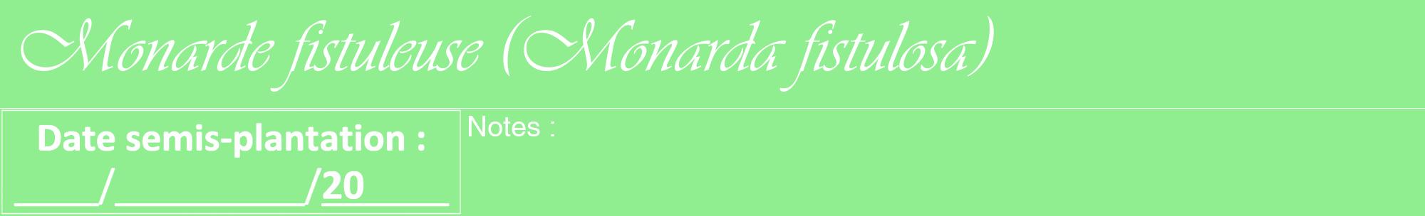 Étiquette de : Monarda fistulosa - format a - style blanche15viv avec comestibilité