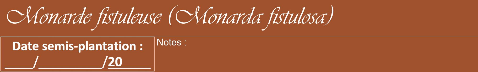 Étiquette de : Monarda fistulosa - format a - style blanche32viv avec comestibilité