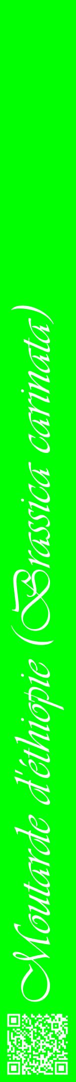 Étiquette de : Brassica carinata - format a - style blanche16viv avec qrcode et comestibilité
