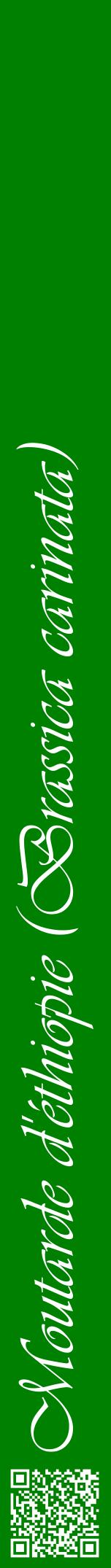 Étiquette de : Brassica carinata - format a - style blanche9viv avec qrcode et comestibilité