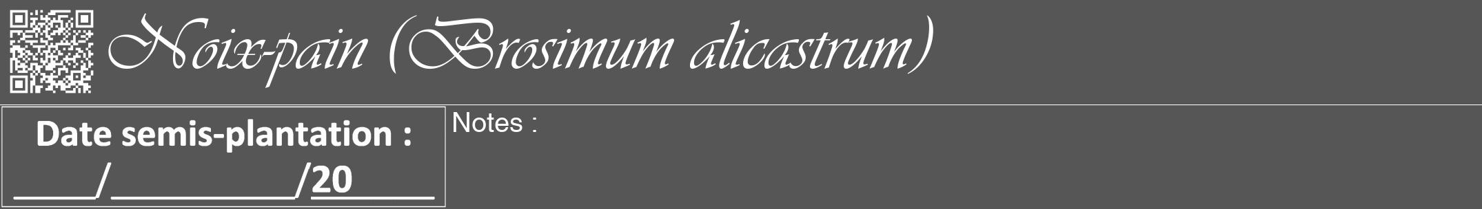 Étiquette de : Brosimum alicastrum - format a - style blanche45viv avec qrcode et comestibilité
