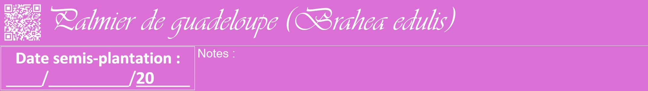 Étiquette de : Brahea edulis - format a - style blanche52viv avec qrcode et comestibilité