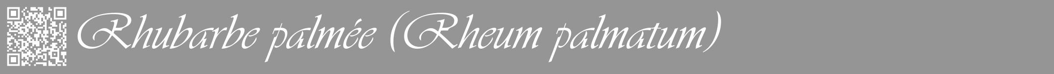 Étiquette de : Rheum palmatum - format a - style blanche16viv avec qrcode et comestibilité