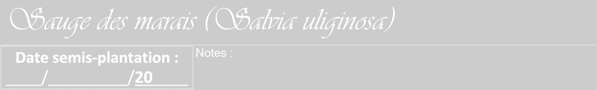 Étiquette de : Salvia uliginosa - format a - style blanche0viv avec comestibilité