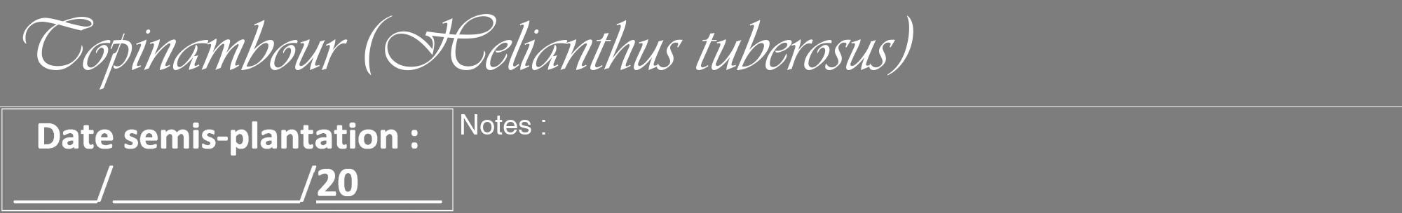 Étiquette de : Helianthus tuberosus - format a - style blanche35viv avec comestibilité