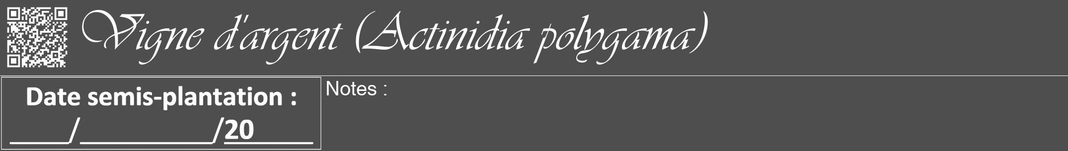 Étiquette de : Actinidia polygama - format a - style blanche33viv avec qrcode et comestibilité