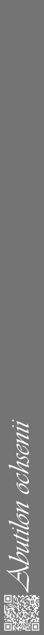 Étiquette de : Abutilon ochsenii - format a - style blanche26viv avec qrcode et comestibilité - position verticale