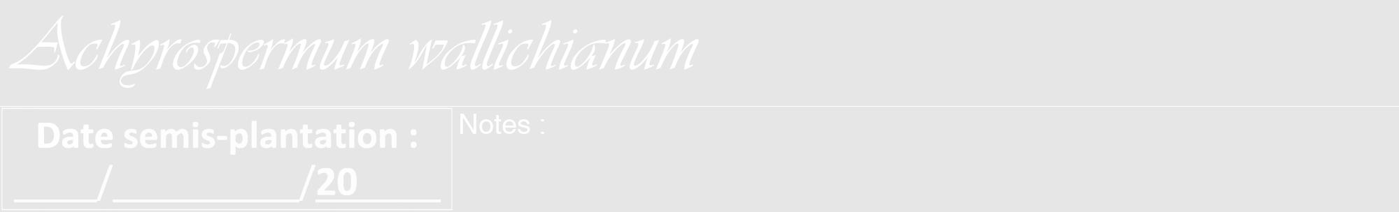 Étiquette de : Achyrospermum wallichianum - format a - style blanche18viv avec comestibilité