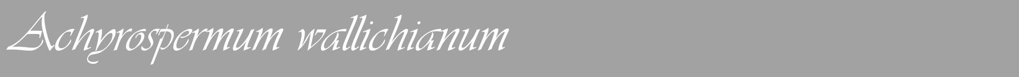 Étiquette de : Achyrospermum wallichianum - format a - style blanche38viv avec comestibilité