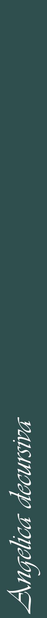 Étiquette de : Angelica decursiva - format a - style blanche58viv avec comestibilité