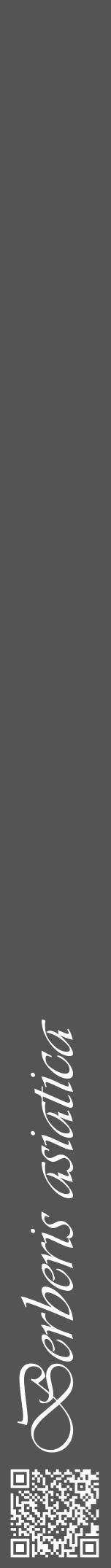 Étiquette de : Berberis asiatica - format a - style blanche36viv avec qrcode et comestibilité - position verticale