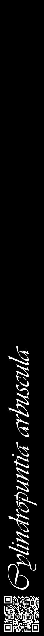 Étiquette de : Cylindropuntia arbuscula - format a - style blanche59viv avec qrcode et comestibilité