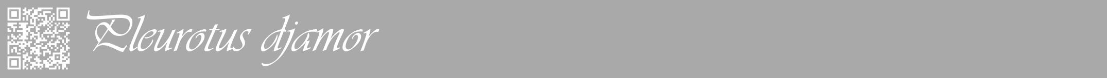 Étiquette de : Pleurotus djamor - format a - style blanche13viv avec qrcode et comestibilité
