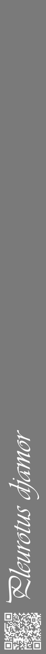 Étiquette de : Pleurotus djamor - format a - style blanche3viv avec qrcode et comestibilité - position verticale