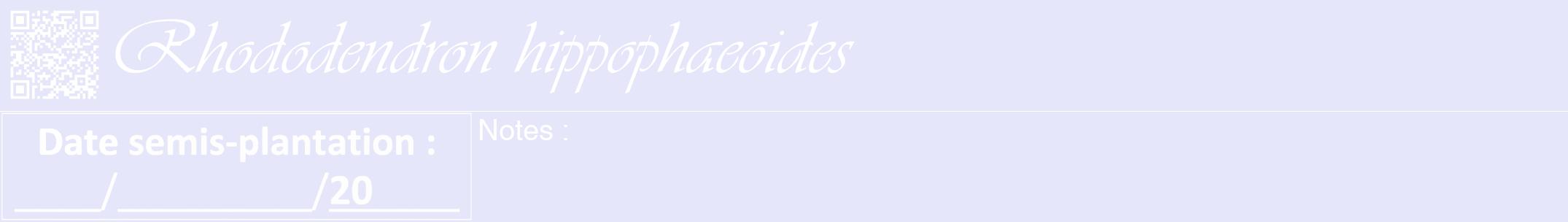 Étiquette de : Rhododendron hippophaeoides - format a - style blanche55viv avec qrcode et comestibilité