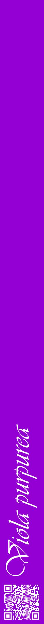 Étiquette de : Viola purpurea - format a - style blanche48viv avec qrcode et comestibilité