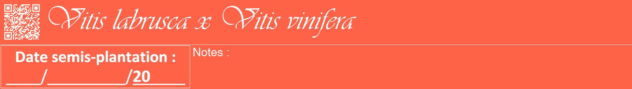 Étiquette de : Vitis labrusca x Vitis vinifera - format a - style blanche25viv avec qrcode et comestibilité