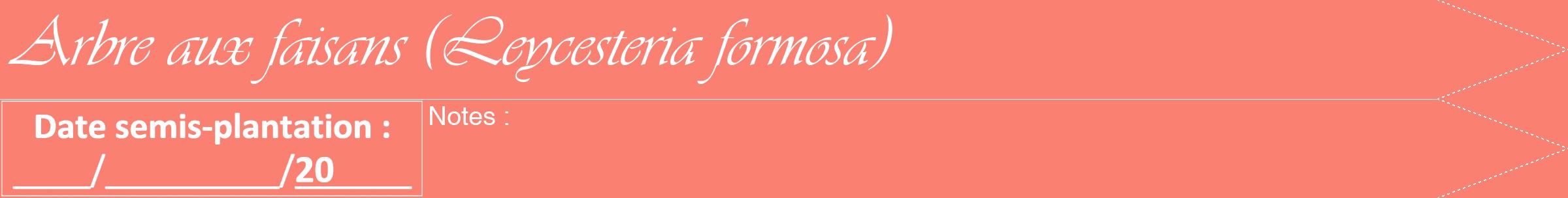Étiquette de : Leycesteria formosa - format b - style blanche38viv avec comestibilité