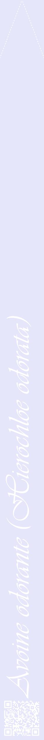 Étiquette de : Hierochloe odorata - format b - style blanche55viv avec qrcode et comestibilité