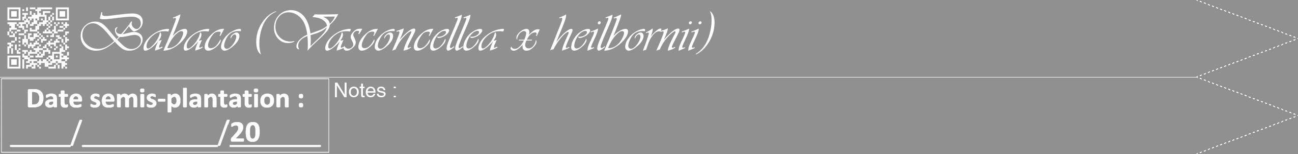 Étiquette de : Vasconcellea x heilbornii - format b - style blanche4viv avec qrcode et comestibilité