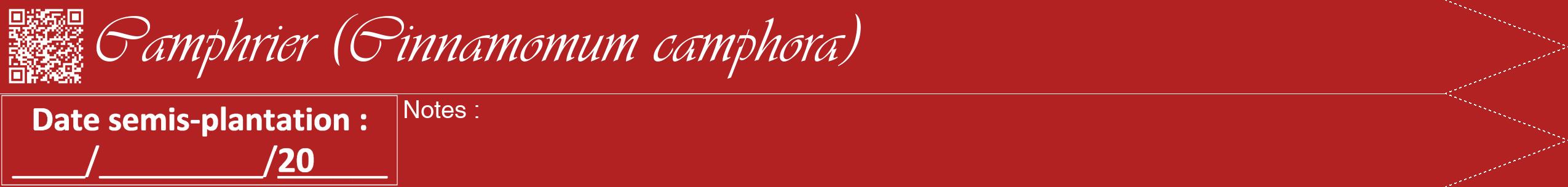 Étiquette de : Cinnamomum camphora - format b - style blanche28viv avec qrcode et comestibilité