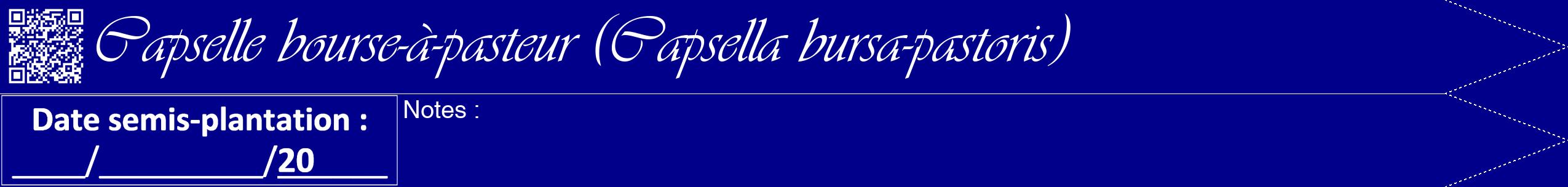 Étiquette de : Capsella bursa-pastoris - format b - style blanche7viv avec qrcode et comestibilité