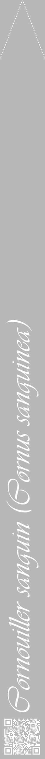 Étiquette de : Cornus sanguinea - format b - style blanche39viv avec qrcode et comestibilité - position verticale
