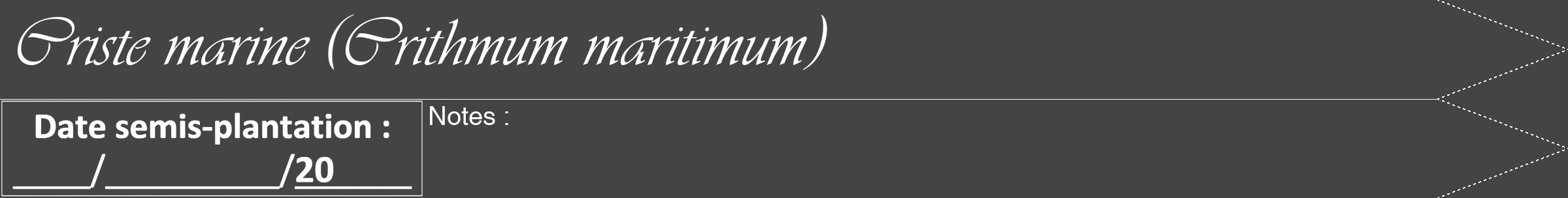 Étiquette de : Crithmum maritimum - format b - style blanche48viv avec comestibilité