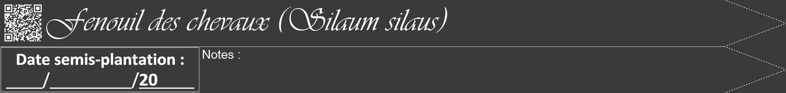 Étiquette de : Silaum silaus - format b - style blanche8viv avec qrcode et comestibilité