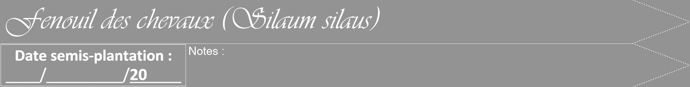 Étiquette de : Silaum silaus - format b - style blanche44viv avec comestibilité