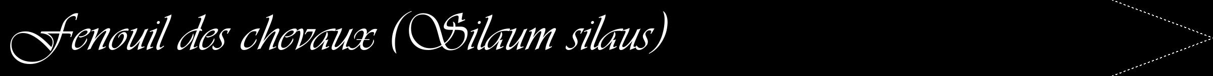 Étiquette de : Silaum silaus - format b - style blanche59viv avec comestibilité
