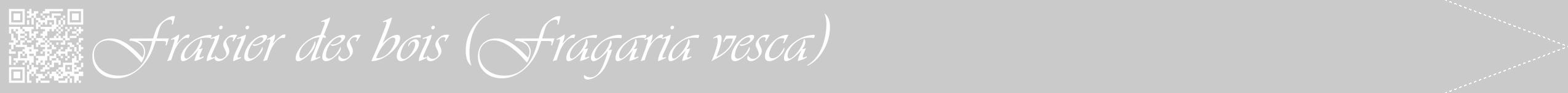 Étiquette de : Fragaria vesca - format b - style blanche21viv avec qrcode et comestibilité