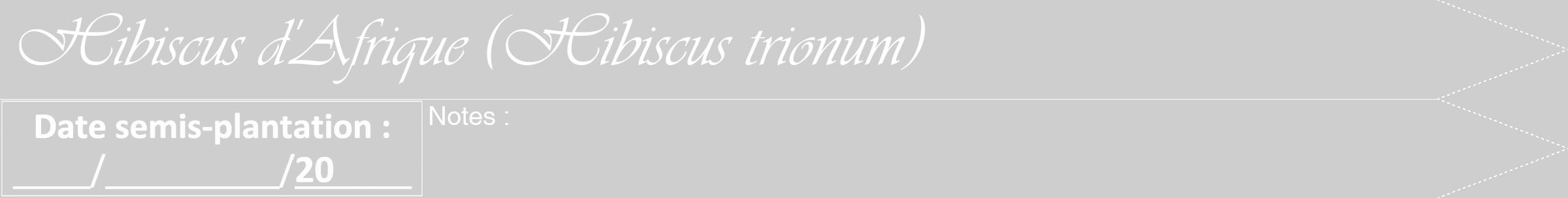 Étiquette de : Hibiscus trionum - format b - style blanche17viv avec comestibilité