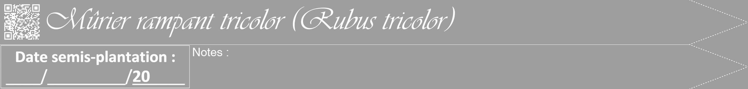 Étiquette de : Rubus tricolor - format b - style blanche23viv avec qrcode et comestibilité