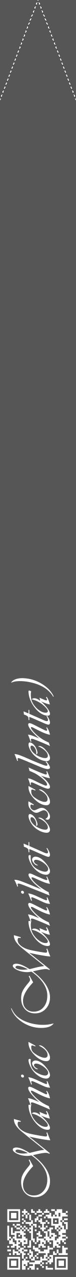 Étiquette de : Manihot esculenta - format b - style blanche45viv avec qrcode et comestibilité - position verticale