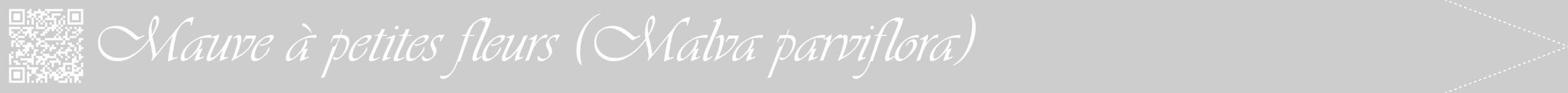 Étiquette de : Malva parviflora - format b - style blanche41viv avec qrcode et comestibilité