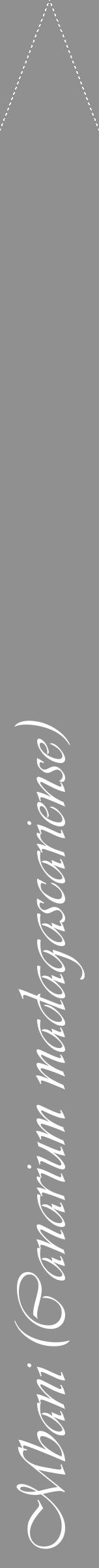 Étiquette de : Canarium madagascariense - format b - style blanche4viv avec comestibilité - position verticale