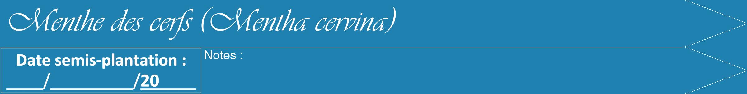 Étiquette de : Mentha cervina - format b - style blanche6viv avec comestibilité