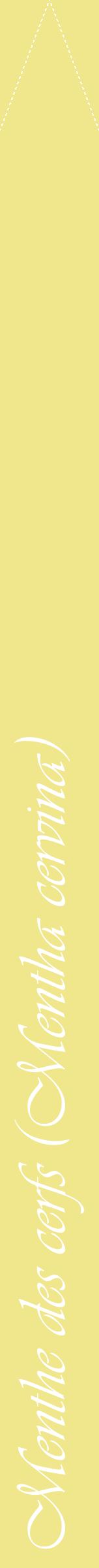 Étiquette de : Mentha cervina - format b - style blanche20viv avec comestibilité