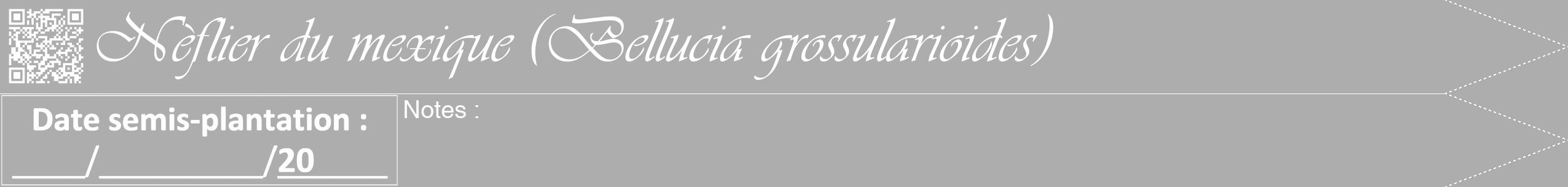 Étiquette de : Bellucia grossularioides - format b - style blanche22viv avec qrcode et comestibilité