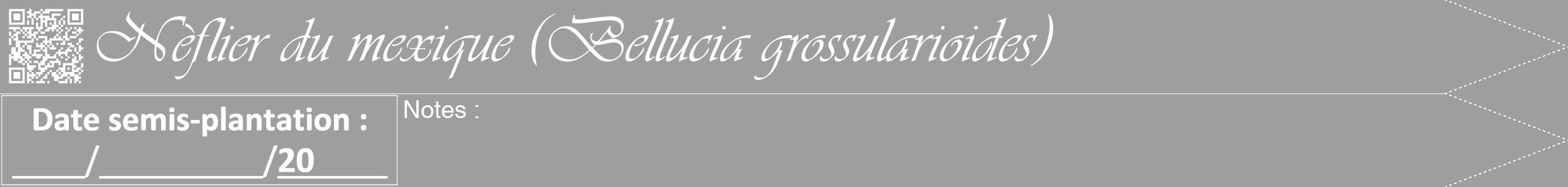 Étiquette de : Bellucia grossularioides - format b - style blanche42viv avec qrcode et comestibilité