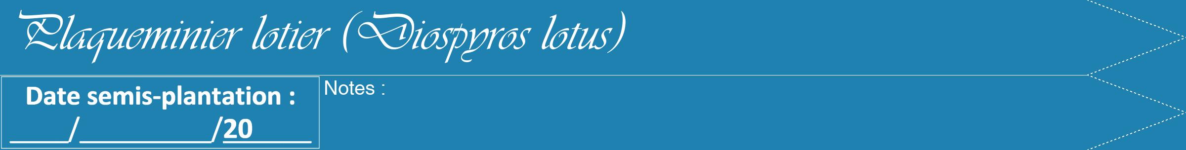 Étiquette de : Diospyros lotus - format b - style blanche6viv avec comestibilité
